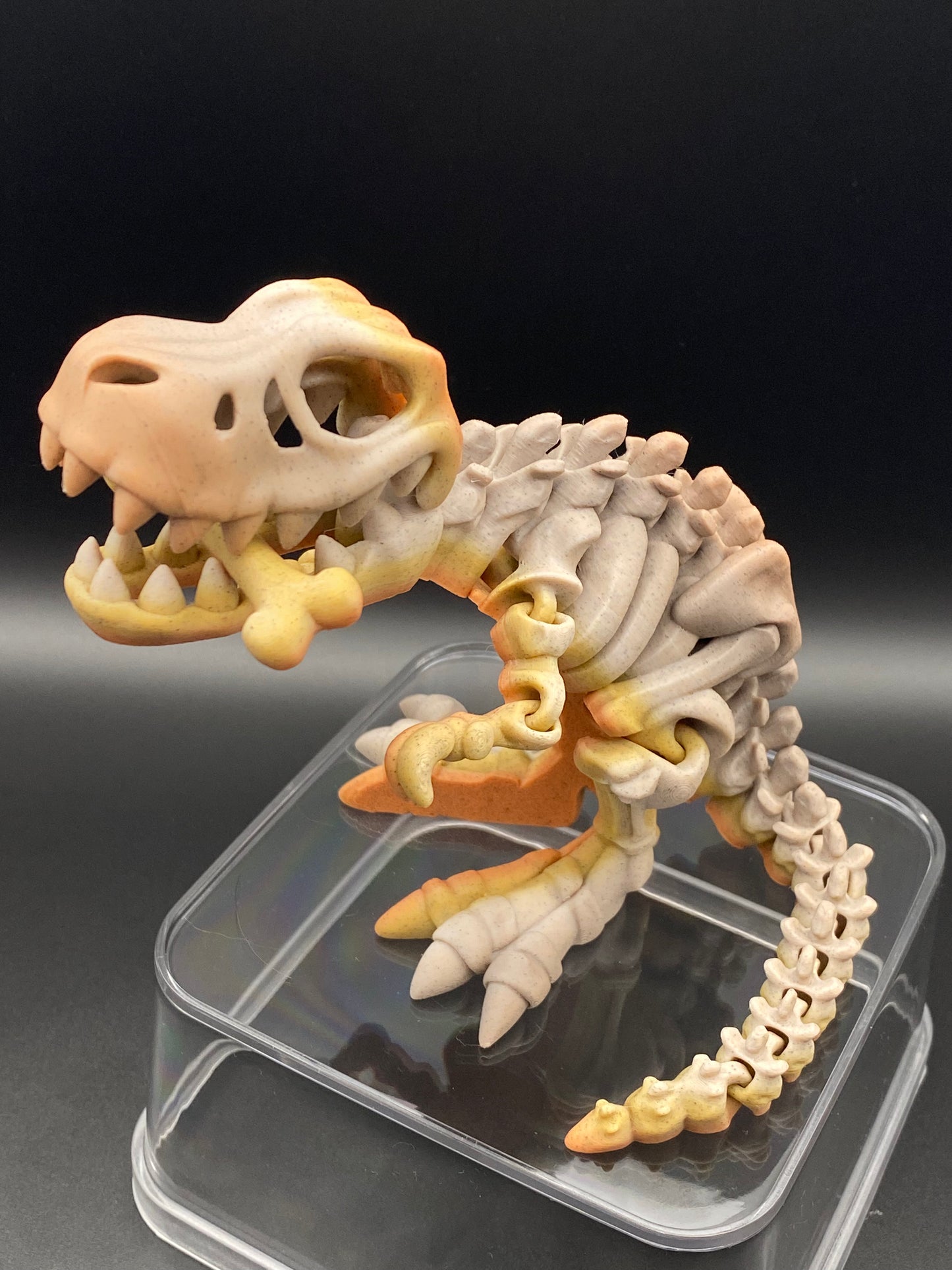 T-Rex Skeleton