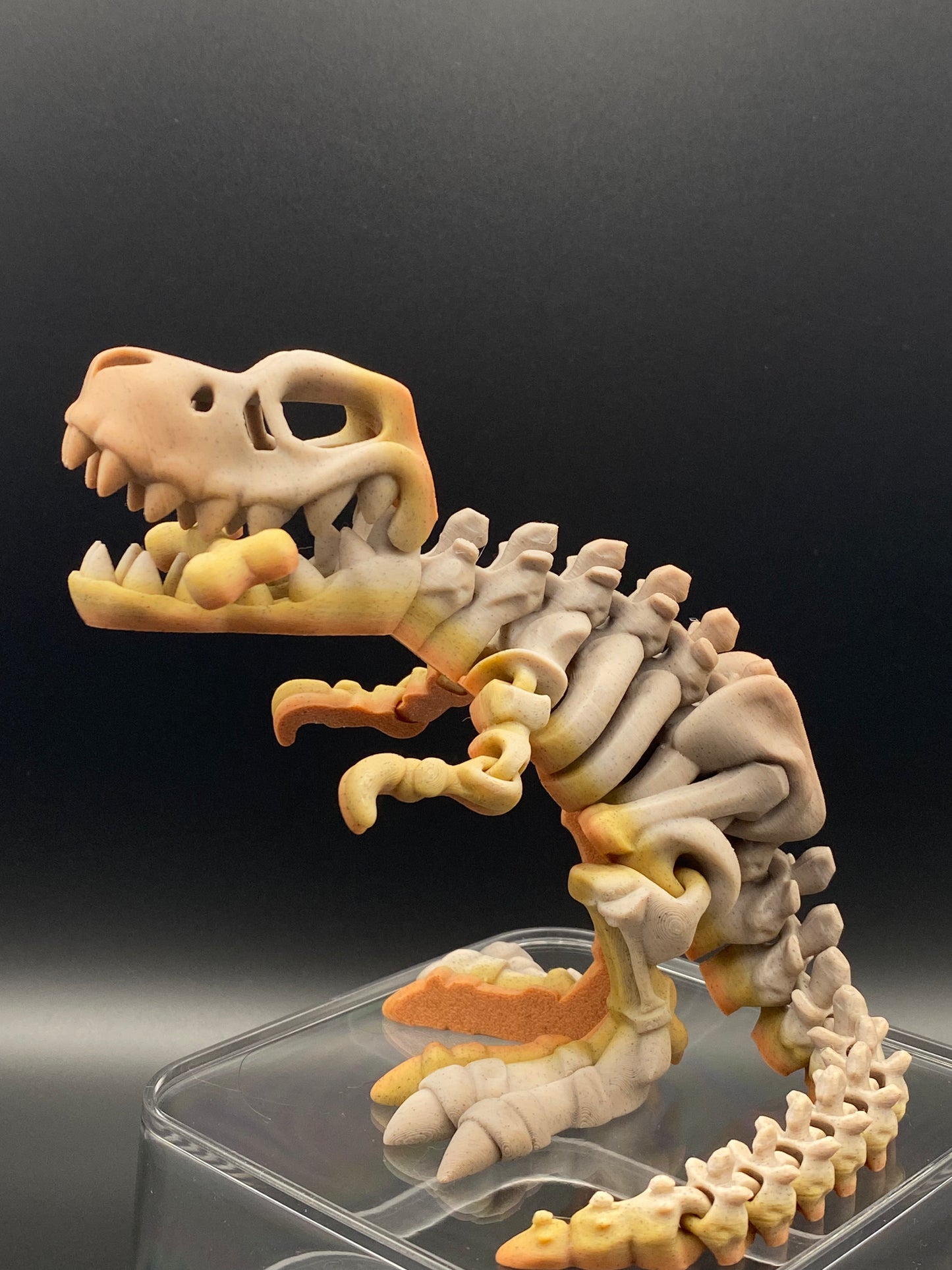 T-Rex Skeleton