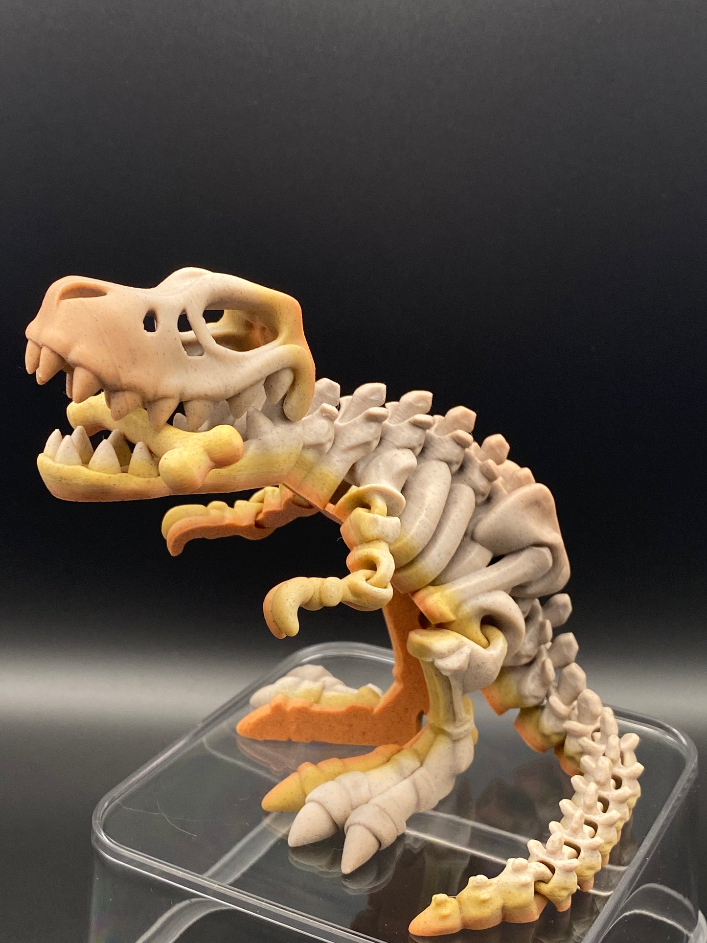 T-Rex Skeleton